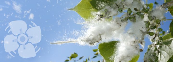 Indoor Air Quality